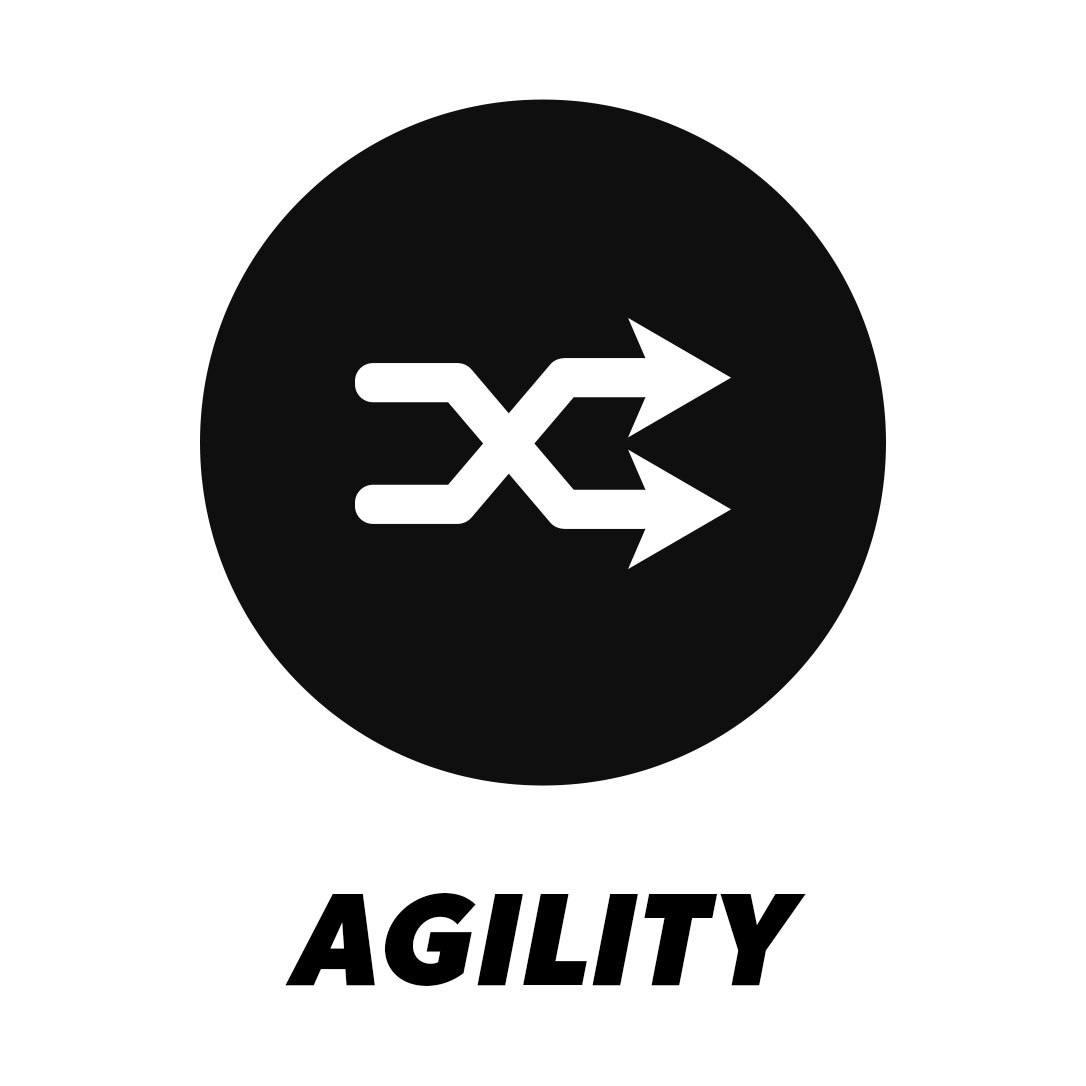 agility graphic